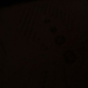 Meet your Posher, Esme